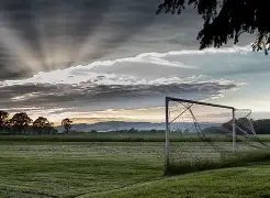 切尔西与布,莱顿,握手言和,LiveScore,即时足球比分,赛程与比赛结果