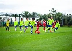 國際米蘭,輪小組賽,擊敗頓涅茨,LiveScore,即时足球比分,赛程与比赛结果