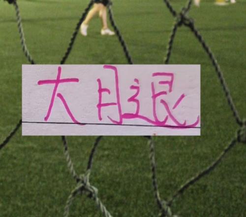 大乐透期号,专家质合分,析推荐,LiveScore,即时足球比分,赛程与比赛结果