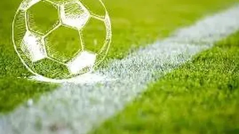 山东淄博0533足球公园助力青少年足球训练提升