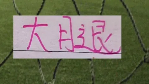 大乐透期号专家质合分析推荐，大鲨鱼12轮稳进季后赛